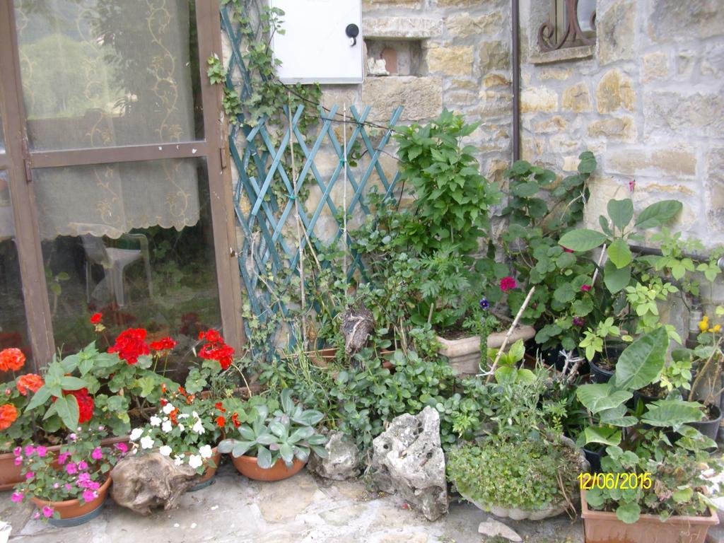 B&B San Nicola Serramazzoni Bagian luar foto