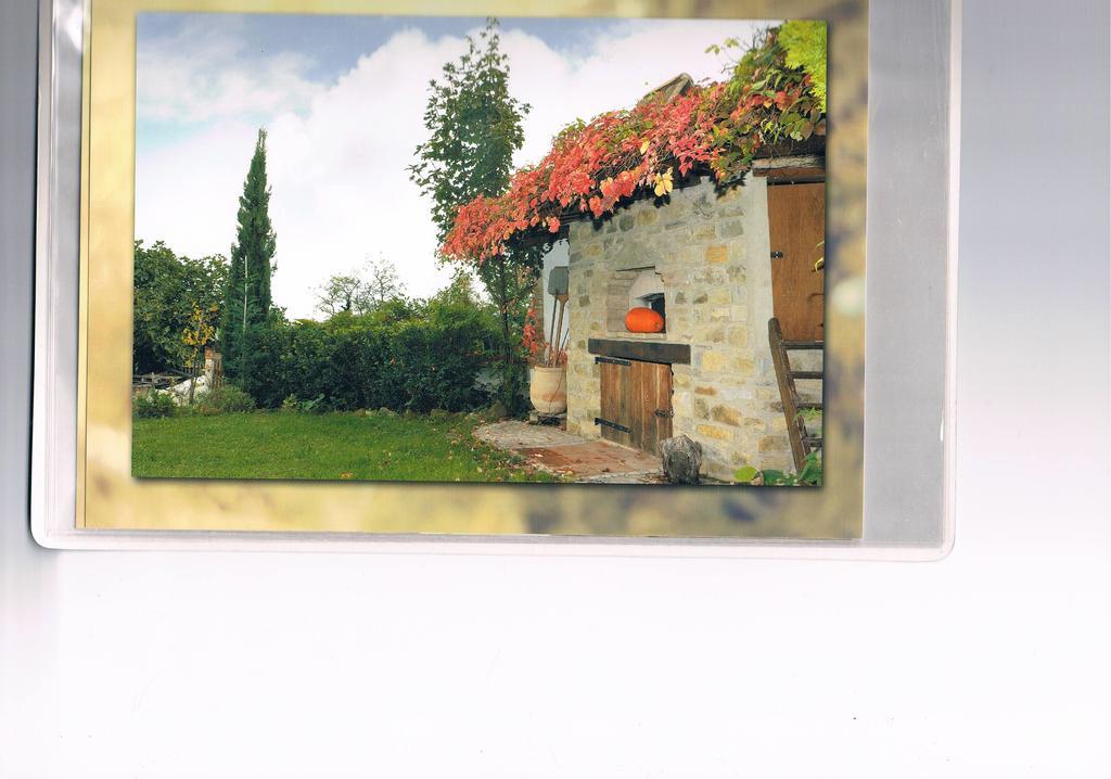 B&B San Nicola Serramazzoni Bagian luar foto