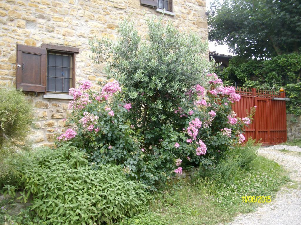 B&B San Nicola Serramazzoni Bagian luar foto