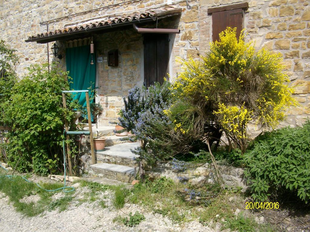 B&B San Nicola Serramazzoni Bagian luar foto