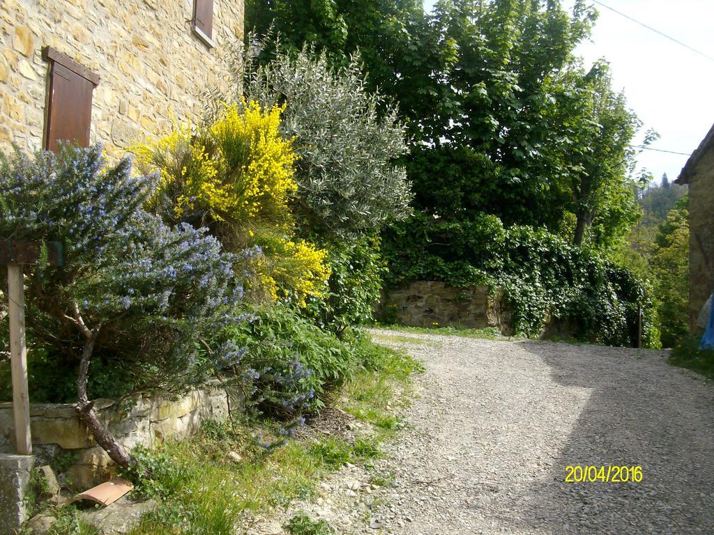 B&B San Nicola Serramazzoni Bagian luar foto