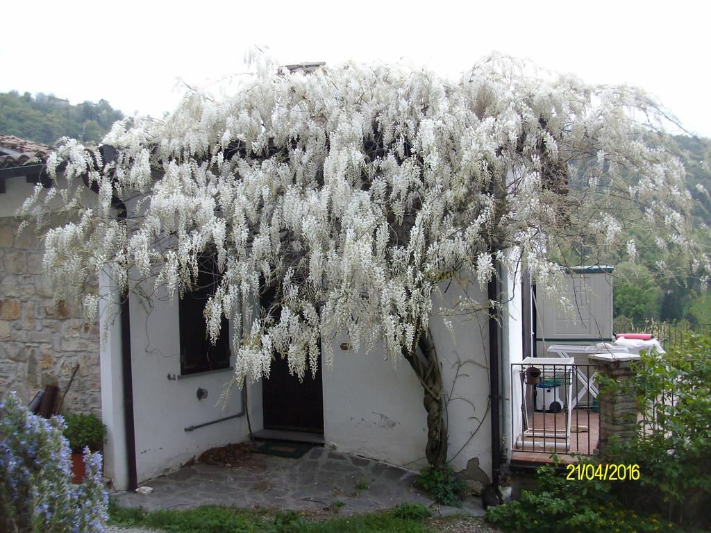 B&B San Nicola Serramazzoni Bagian luar foto