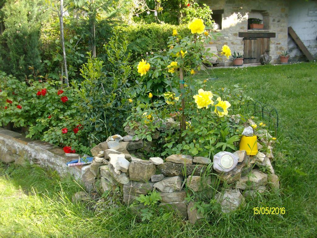 B&B San Nicola Serramazzoni Bagian luar foto